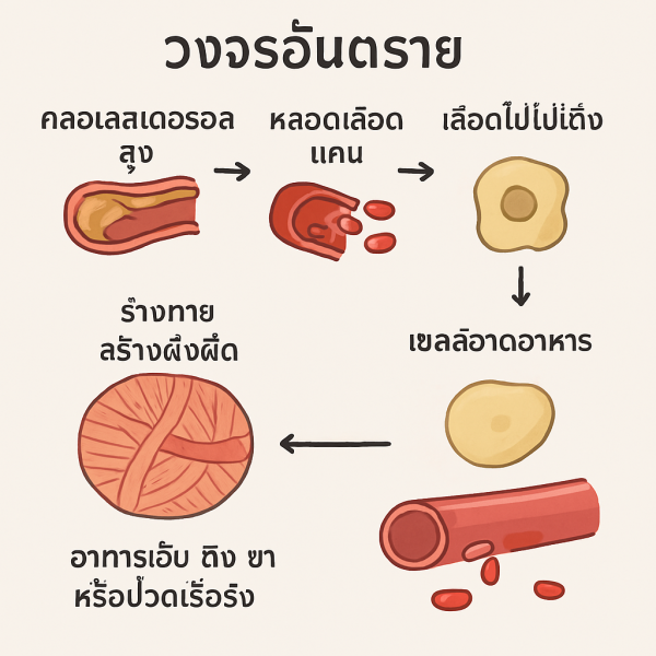 ChatGPT Image 11 เม.ย. 2568 20 22 37